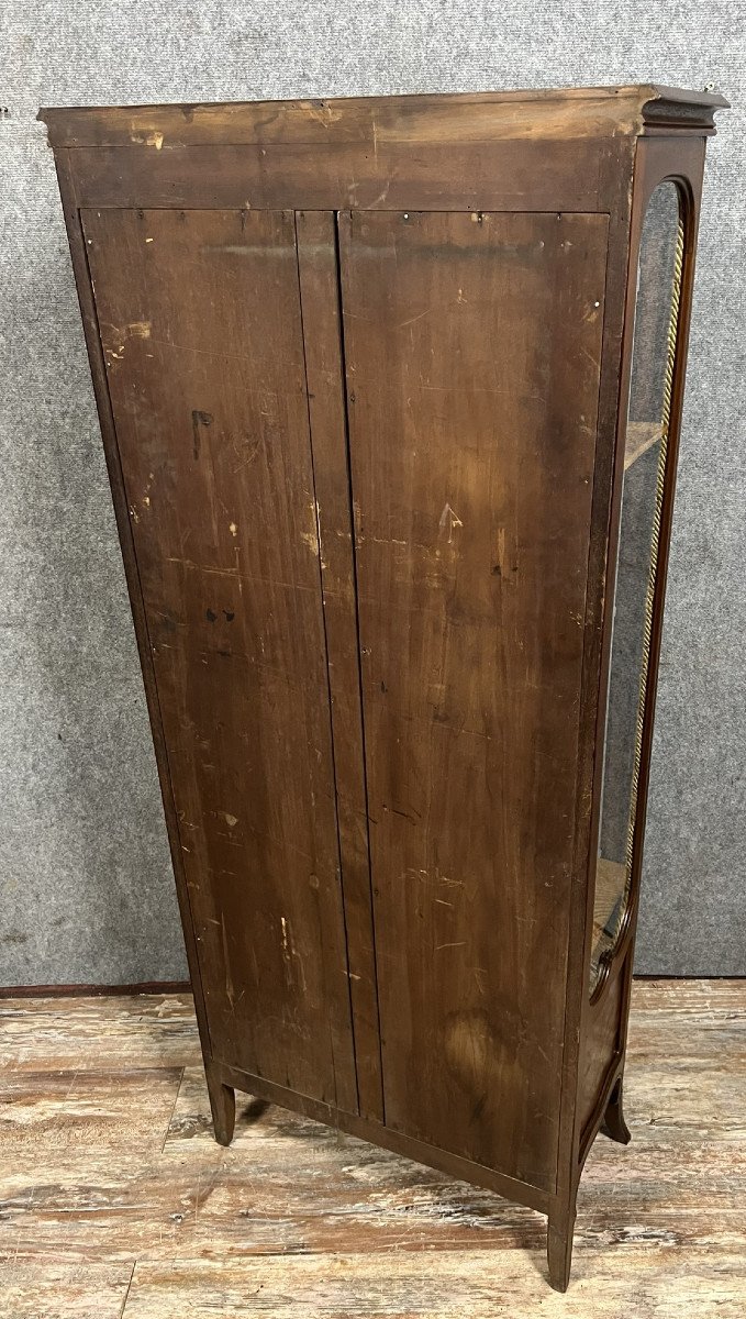 École de Nancy d'après Majorelle : superbe vitrine aux iris époque Art Nouveau fin XIXeme