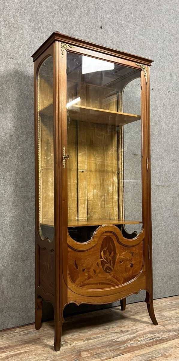 École de Nancy d'après Majorelle : superbe vitrine aux iris époque Art Nouveau fin XIXeme