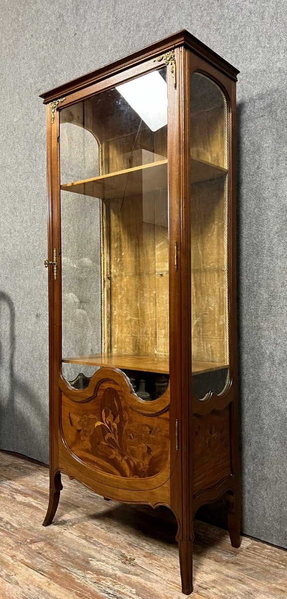 École de Nancy d'après Majorelle : superbe vitrine aux iris époque Art Nouveau fin XIXeme